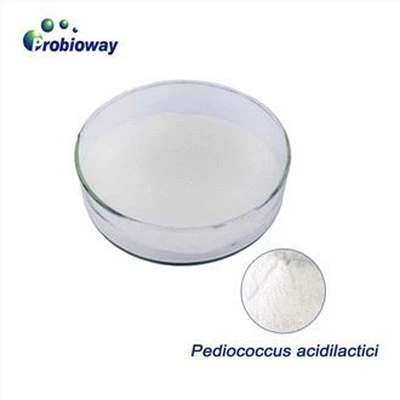 Konsentrasi Tinggi Pediococcus Acidilactici