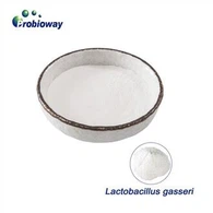 Lactobacillus Gasseri Kekuatan Tinggi