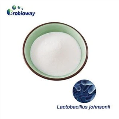 Lactobacillus Johnsonii LBJ 456 Bubuk
