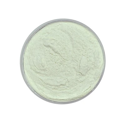 Lactobacillus Reuteri