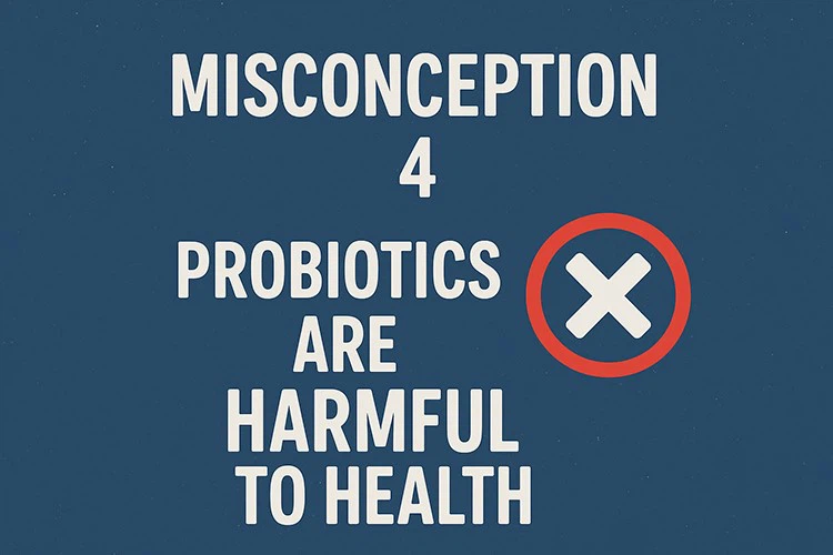 Misconception 4 Probiotics Are Harmful to Health